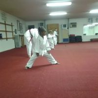 Young Yu Tae Kwon DO Karate ico