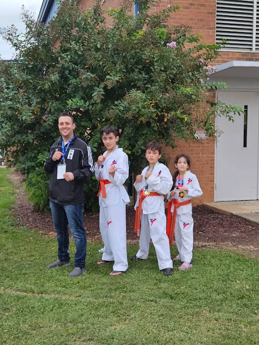 Panamerican Taekwondo Academy Picture 4