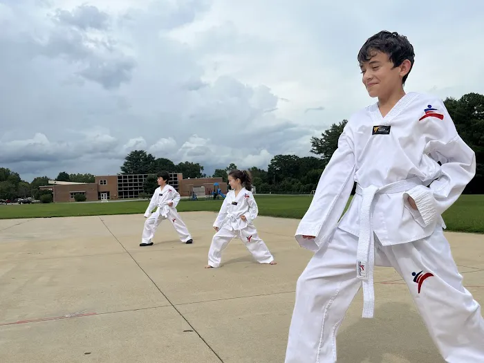 Panamerican Taekwondo Academy Picture 3