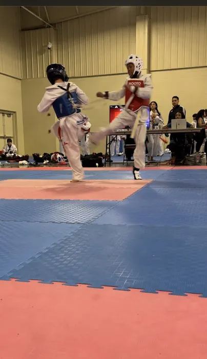 Panamerican Taekwondo Academy Picture 2