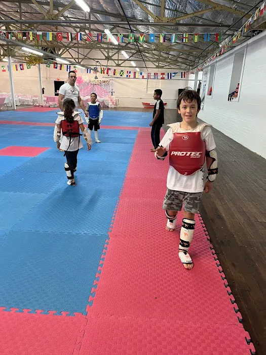 Panamerican Taekwondo Academy Picture 7