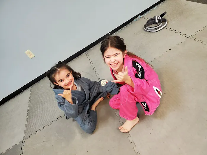 Motion Works Martial Arts Academy Picture 3