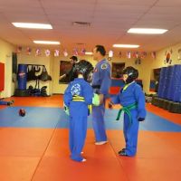 School of Fighting Arts ico