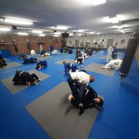 Triad Brazilian Jiu-Jitsu ico