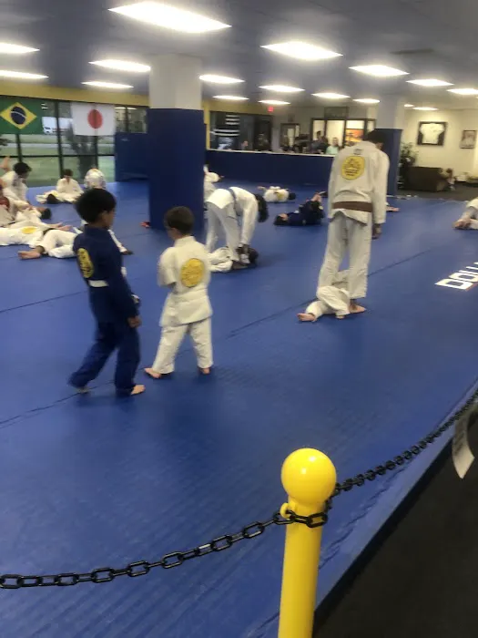 R&D Academy of Self Defense (Gracie Humaita Jiu Jitsu WSNC & Nito Judo Club) Picture 2