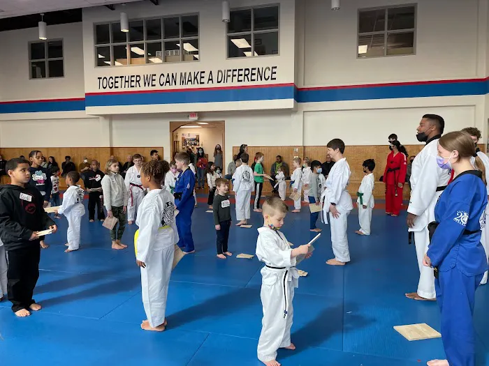 Tiger Kim's World Class Tae Kwon Do Centers Picture 1