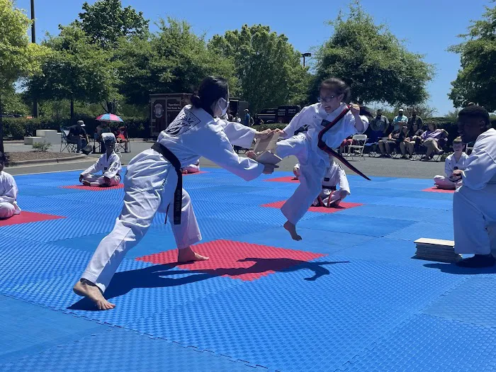 Tiger Kim's World Class Tae Kwon Do Centers Picture 7