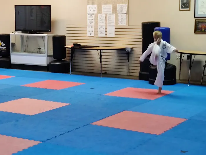 Clemmons Family Martial Arts Picture 1