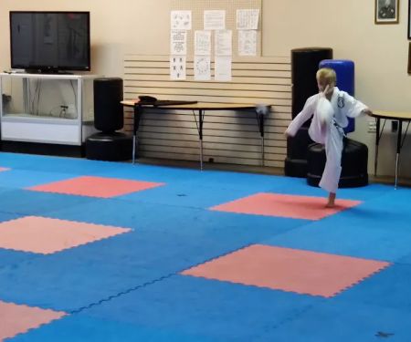 Clemmons Family Martial Arts