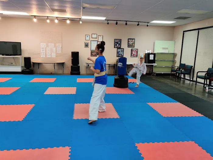 Clemmons Family Martial Arts Picture 3