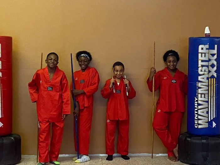 Teel Martial Arts Academy Picture 3