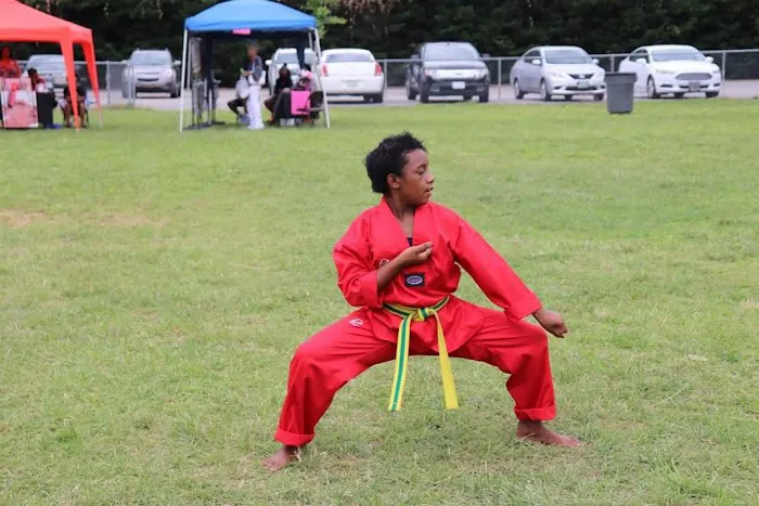 Teel Martial Arts Academy Picture 10