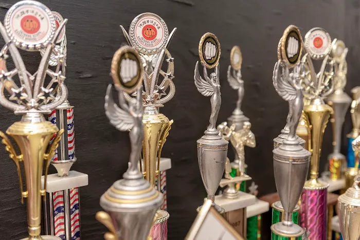 Triad Martial Arts & Wrestling Academy Picture 1