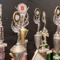 Triad Martial Arts & Wrestling Academy ico