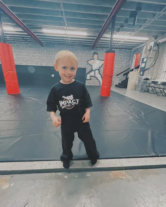 Impact Martial Arts Academy Picture 1