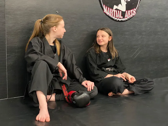 Impact Martial Arts Academy Picture 3