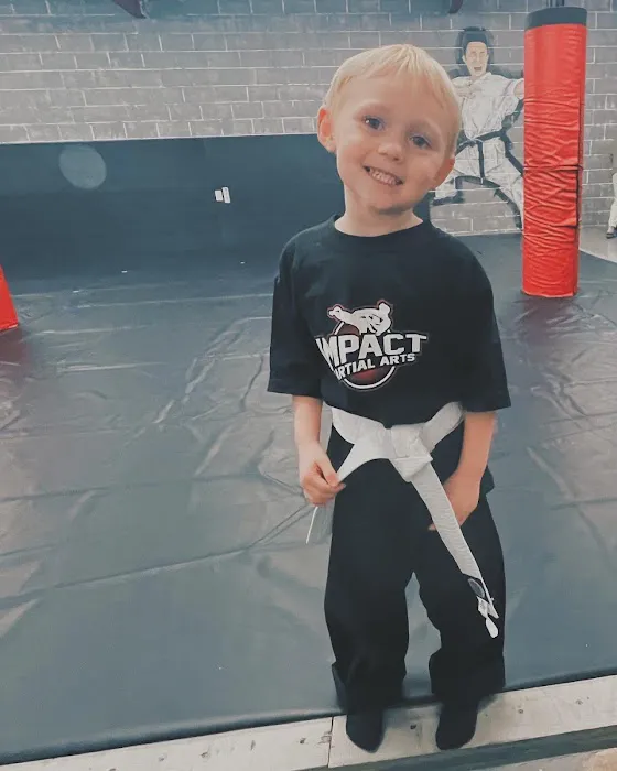 Impact Martial Arts Academy Picture 5