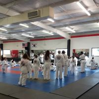 Concord Taekwondo America ico