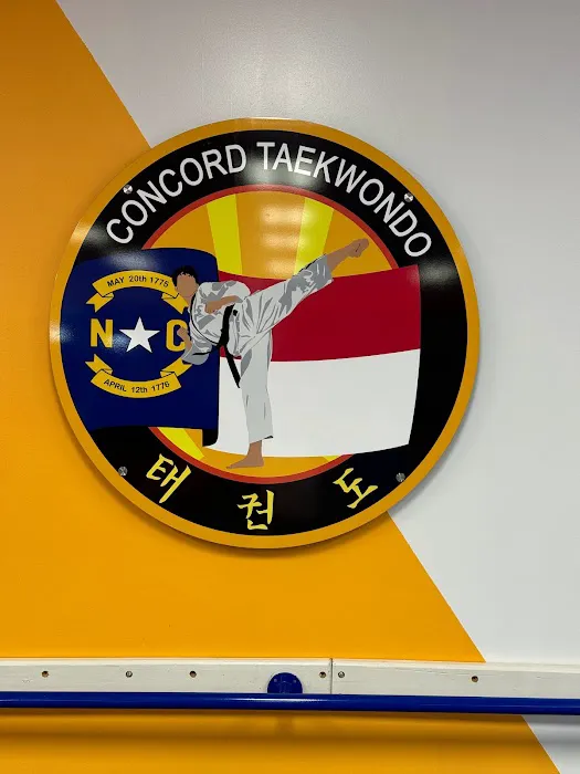 Concord Taekwondo America Picture 4