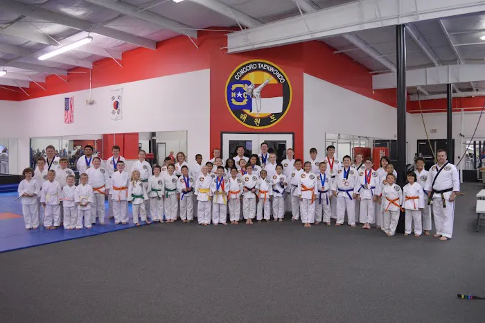 Concord Taekwondo America Picture 8