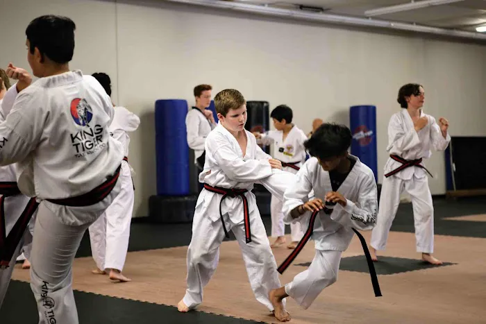 King Tiger Tae Kwon Do of Harrisburg Picture 7