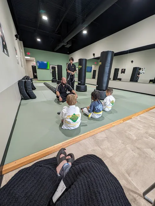 Premier Martial Arts Concord Picture 2