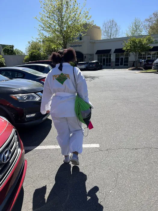 Premier Martial Arts Concord Picture 4