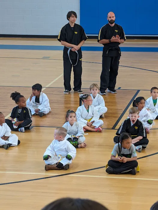 Premier Martial Arts Concord Picture 7