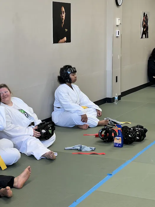 Premier Martial Arts Concord Picture 6