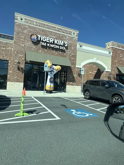 Tiger Kim's World Class Tae Kwon Do Centers Picture 3