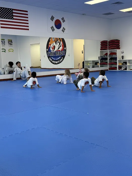 Tiger Kim's World Class Tae Kwon Do Centers Picture 6