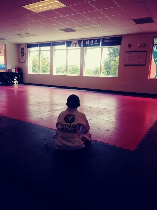 King Tiger Tae Kwon Do of North Charlotte Picture 2