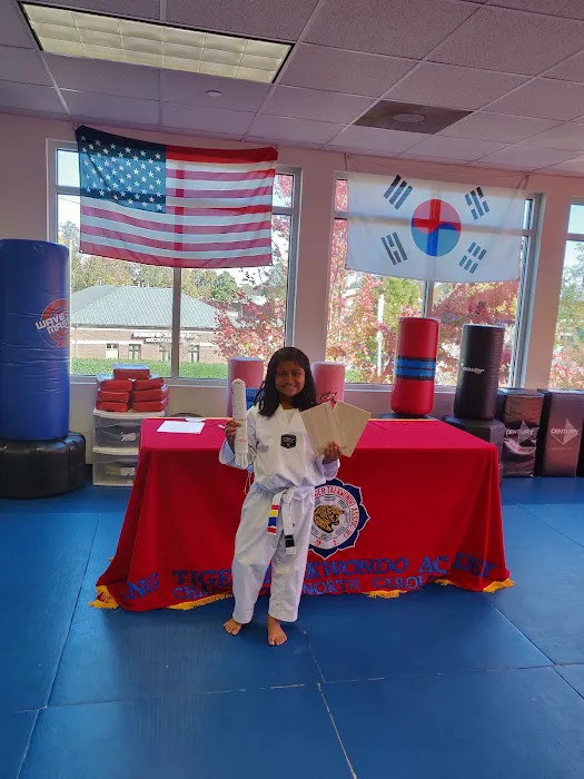 King Tiger Tae Kwon Do of North Charlotte Picture 1
