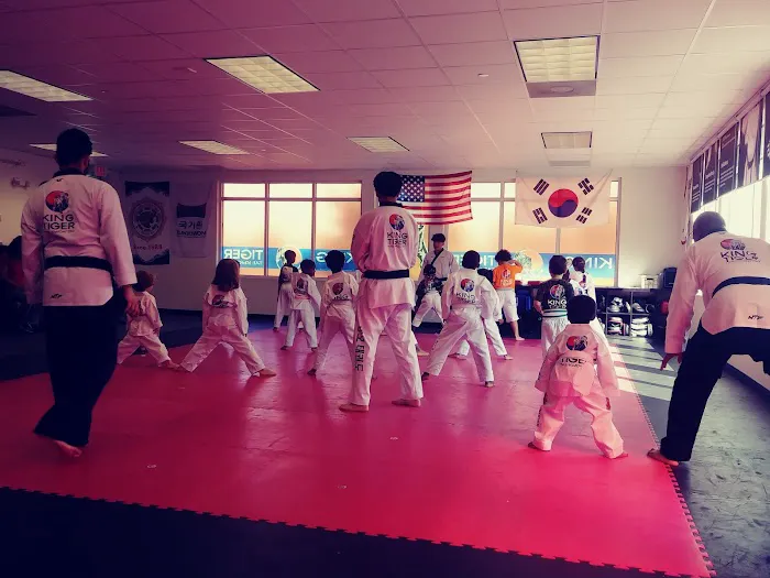 King Tiger Tae Kwon Do of North Charlotte Picture 3