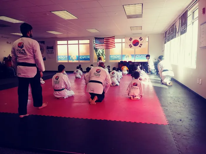 King Tiger Tae Kwon Do of North Charlotte Picture 4