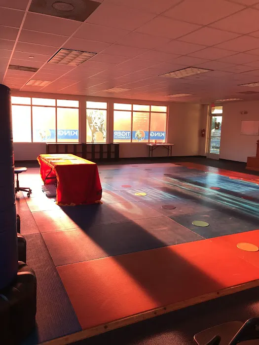 King Tiger Tae Kwon Do of North Charlotte Picture 6