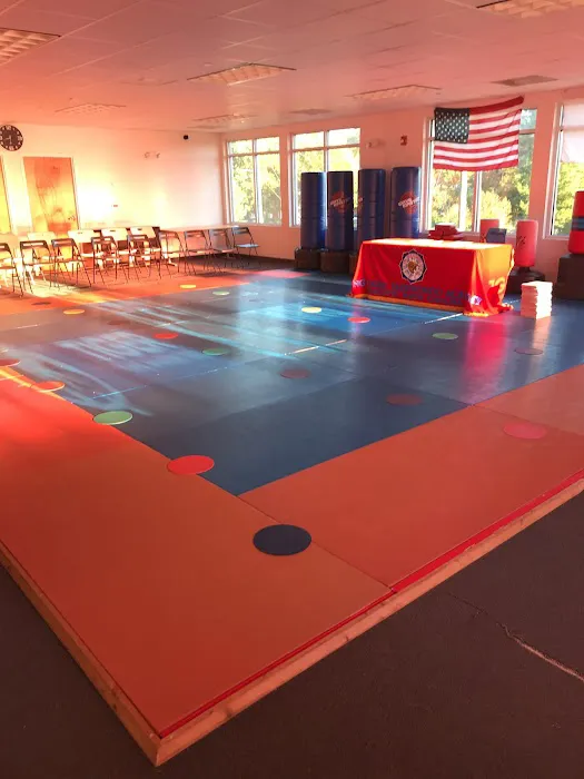 King Tiger Tae Kwon Do of North Charlotte Picture 10