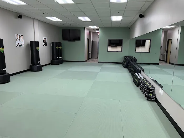 Premier Martial Arts- Highland Creek Picture 1