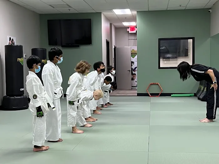 Premier Martial Arts- Highland Creek Picture 10