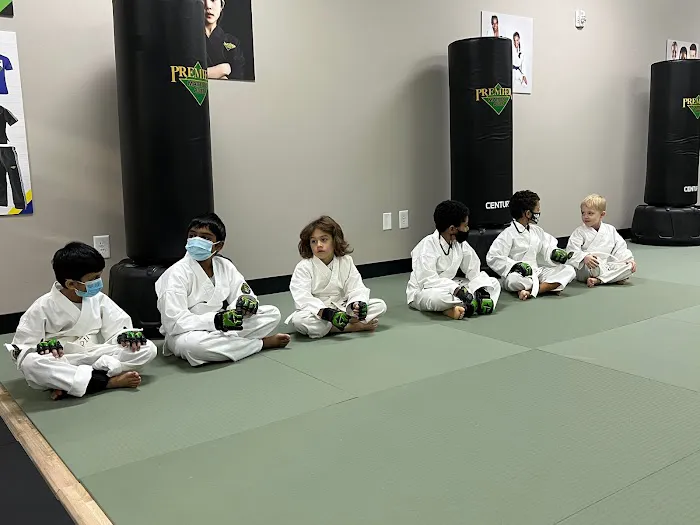 Premier Martial Arts- Highland Creek Picture 8