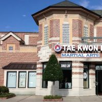 Dragon Champion Tae Kwon Do ico