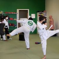 SipJin Taekwondo ico