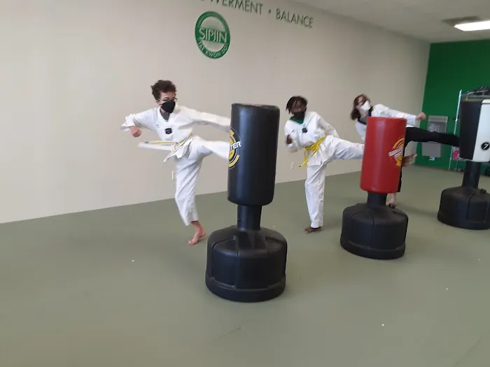 SipJin Taekwondo Picture 3