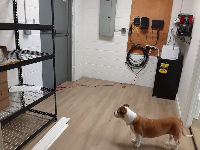 SipJin Taekwondo Picture 10