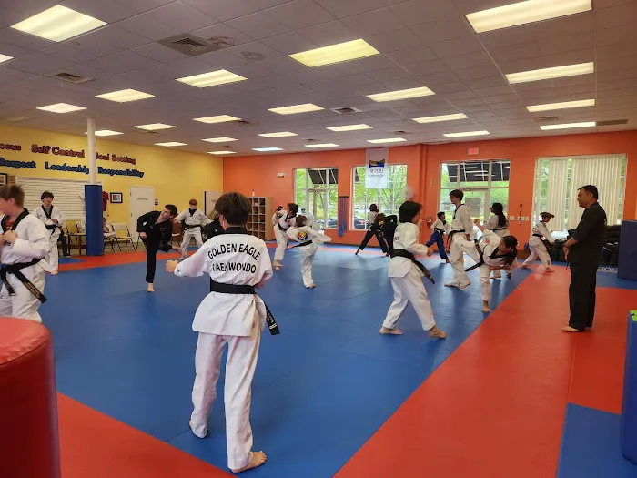 Golden Eagle Tae Kwon Do Picture 2