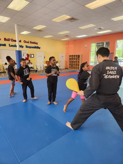 Golden Eagle Tae Kwon Do Picture 3
