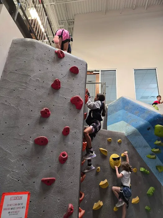 Golden Eagle Tae Kwon Do Picture 5