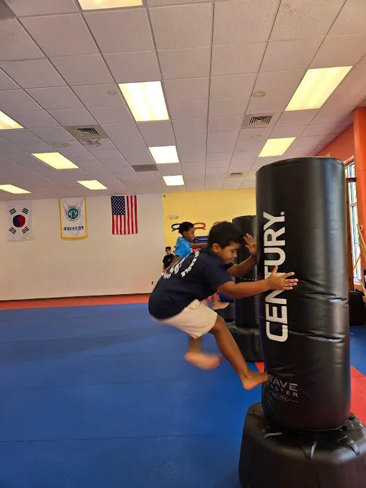 Golden Eagle Tae Kwon Do Picture 7