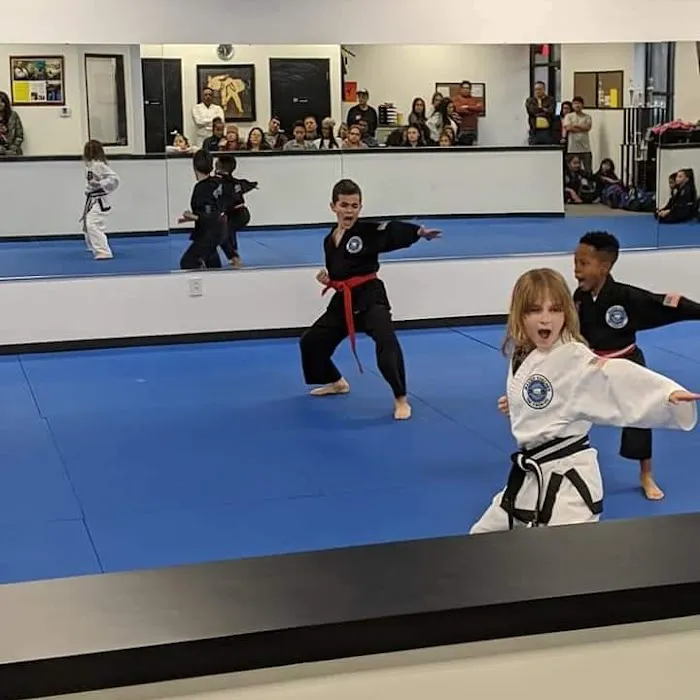 Master Khechen's Martial Arts Academy Picture 8