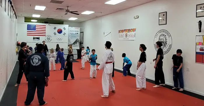 153TAEKWONDO (Martial Arts Davidson) Picture 1